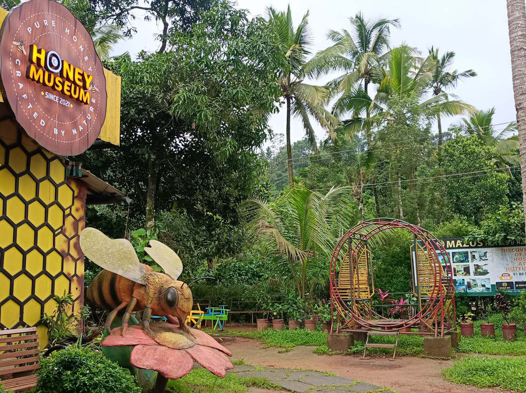Beecraft Honey Museum-Kunnathidavaka必去景点