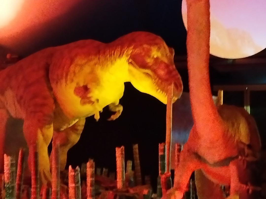 Jurassic Discovery-Seaton必去景点