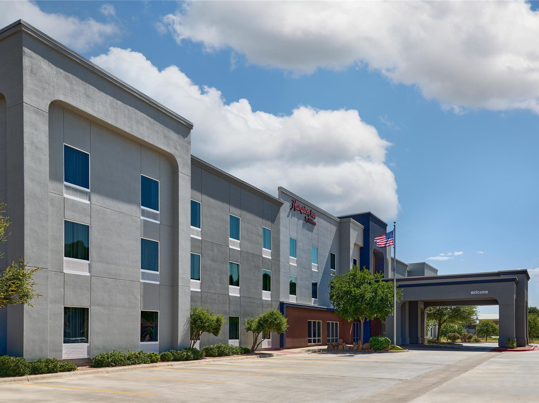 奥德萨酒店住宿-Hampton Inn By Hilton Odessa