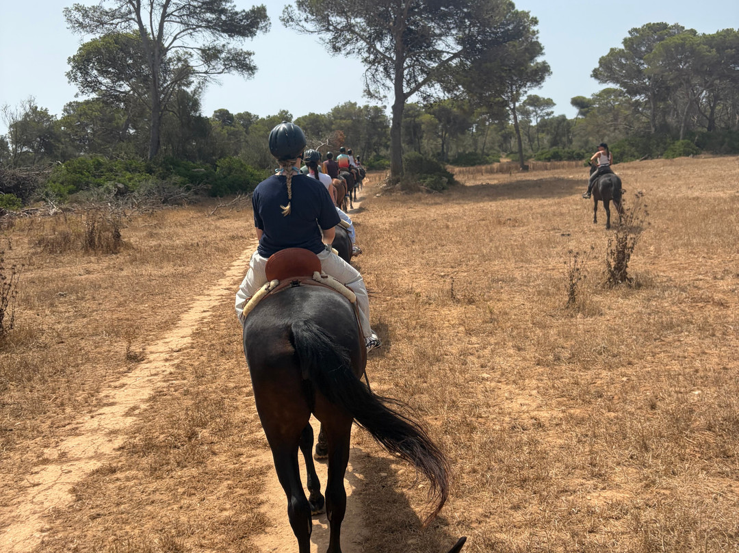 Rutas Equestres Menorca-休达德亚必去景点