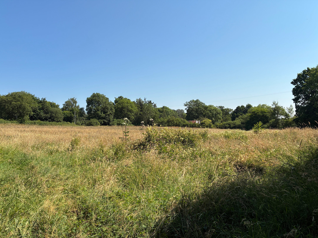 Ty Brith Nature Reserve-Llansantffraid-ym-Mechain必去景点