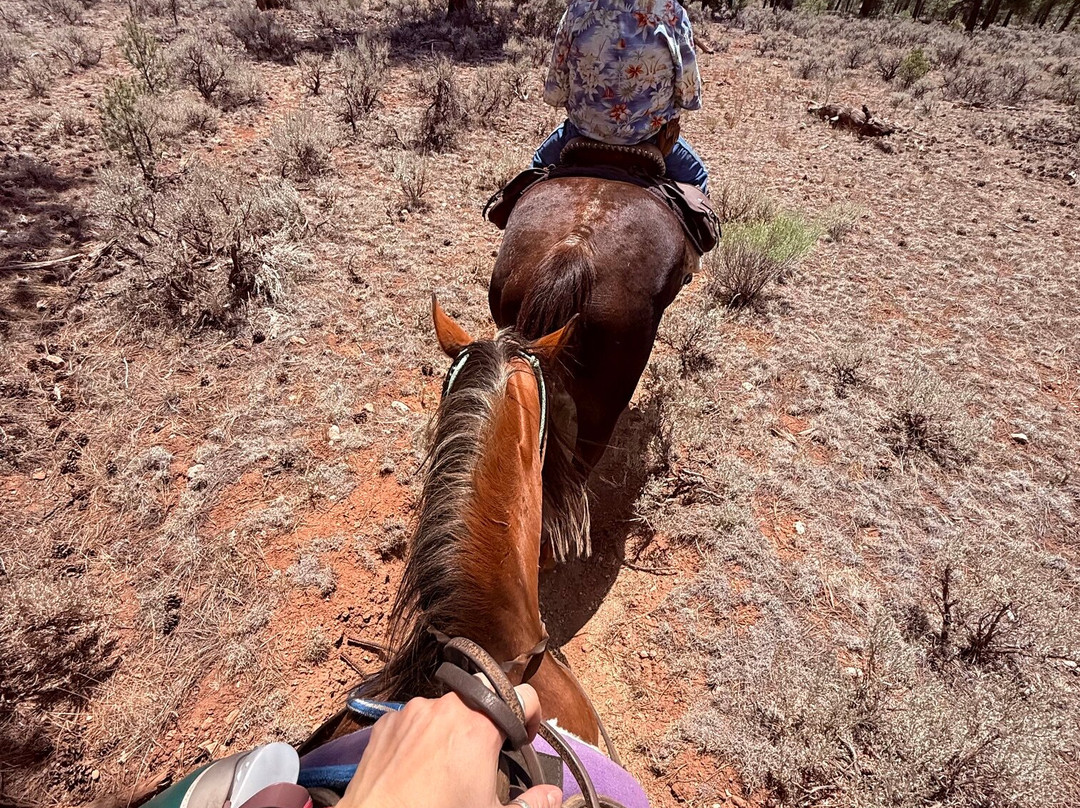 Grand Canyon Trail Rides-图萨扬必去景点