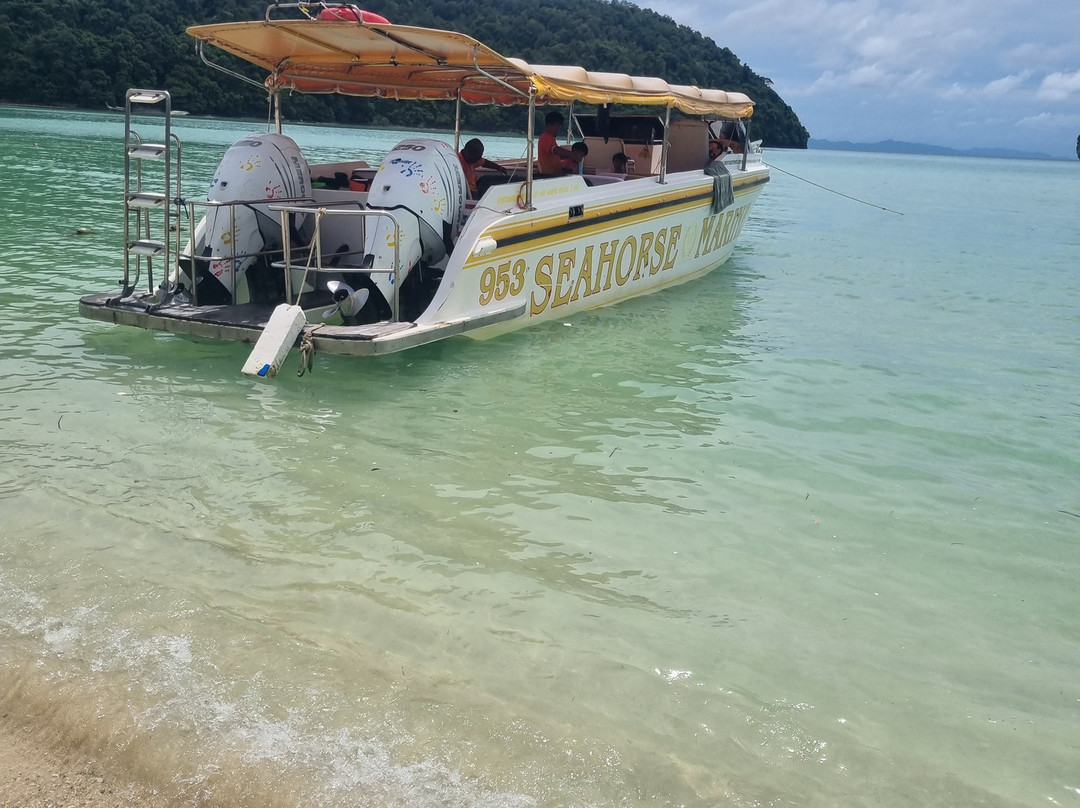 Phuket Seahorse Tours-卡伦必去景点