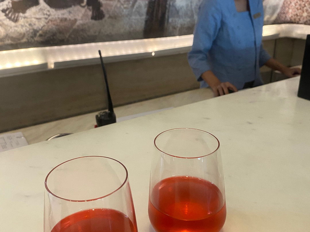 阿丽拉梭罗酒店主图