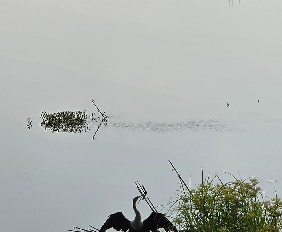 Savannah National Wildlife Refuge-Hardeeville必去景点