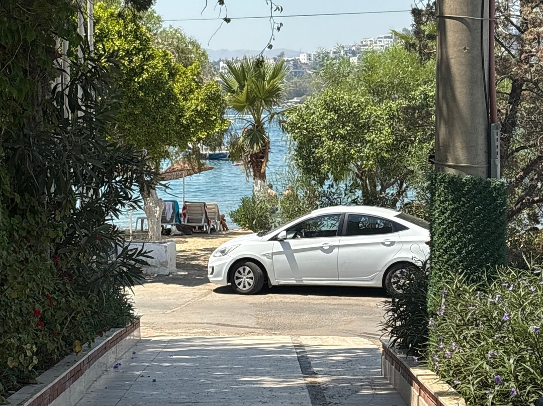 热带海滩酒店主图