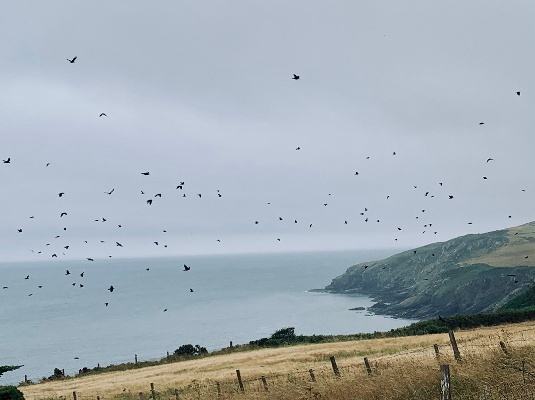 Isle of Man Steam Railway-Douglas必去景点