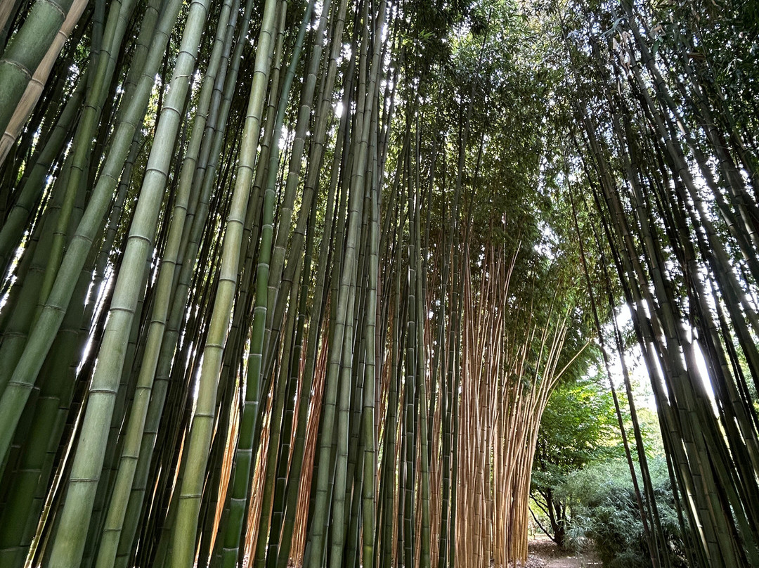 Le Jardin de Planbuisson-Le Buisson-de-Cadouin必去景点