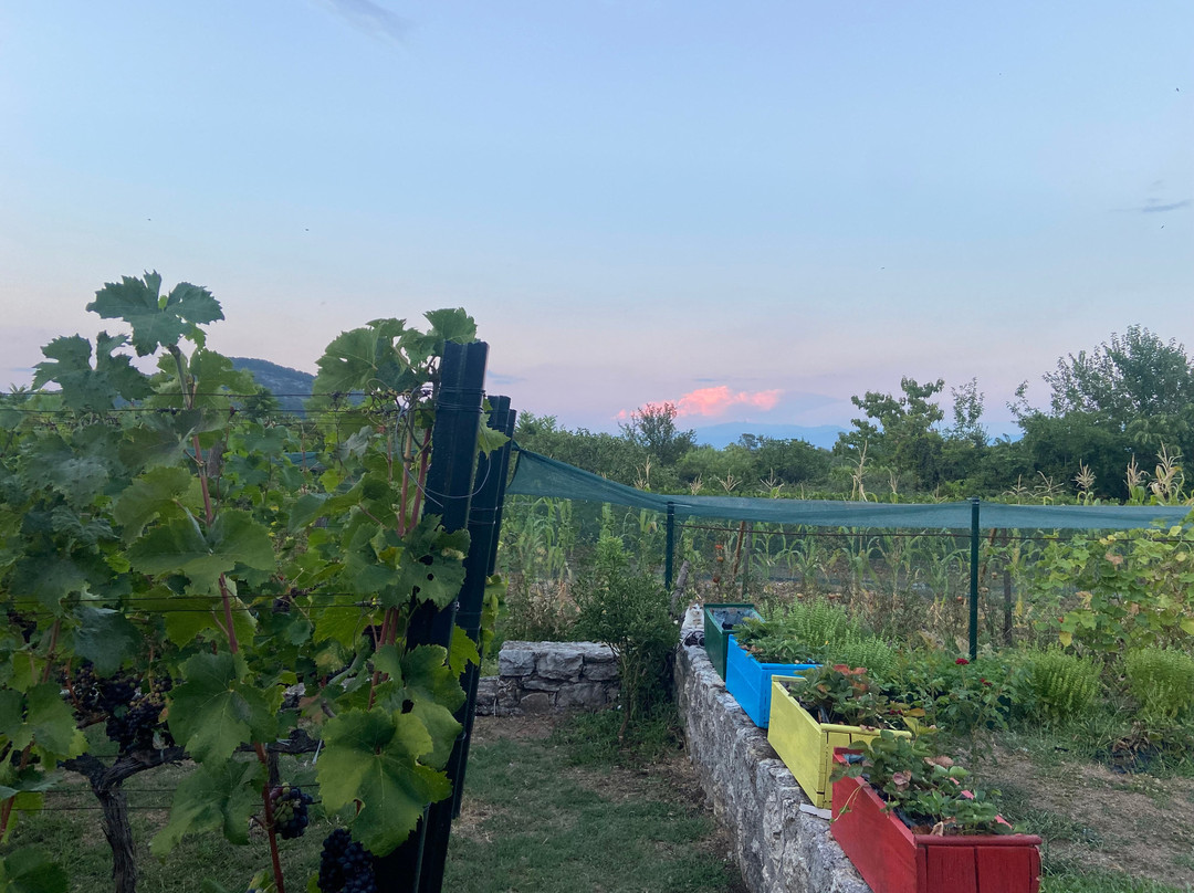 Winery TRADICIJA-Godinje必去景点