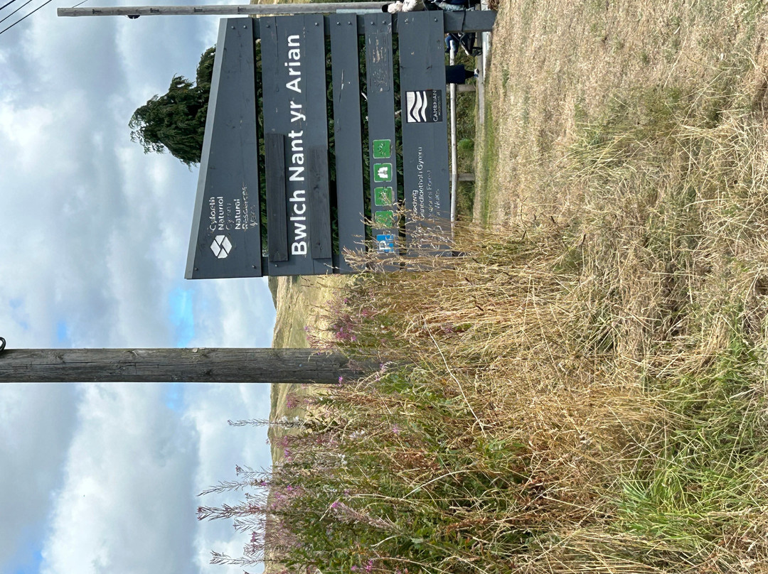 Bwlch Nant yr Arian Forest Visitor Centre-阿伯里斯特威斯必去景点