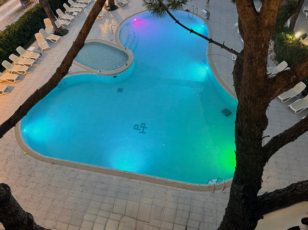 Park Hotel Pineta - Family Relax Resort主图