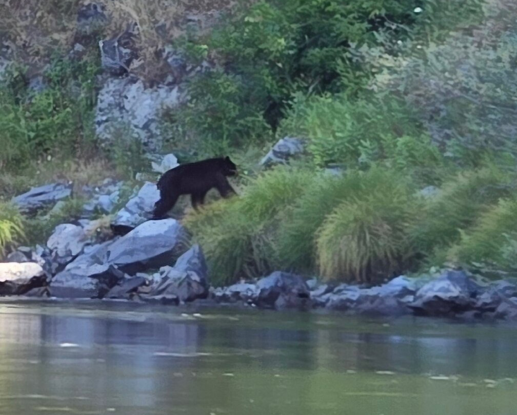Klamath River Jet Boat Tours-克拉马斯必去景点