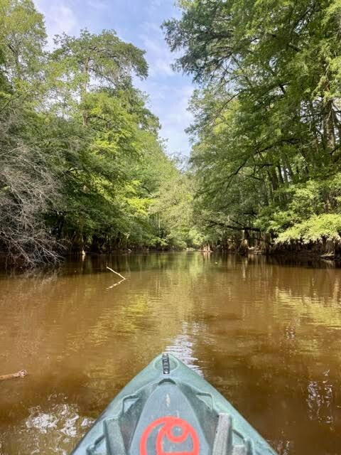 Carolina Outdoor Adventures-厄莫必去景点