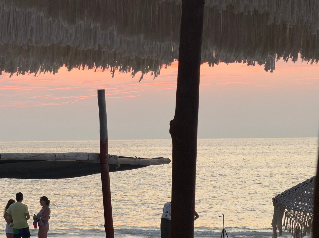 Isla Holbox-Holbox Island必去景点