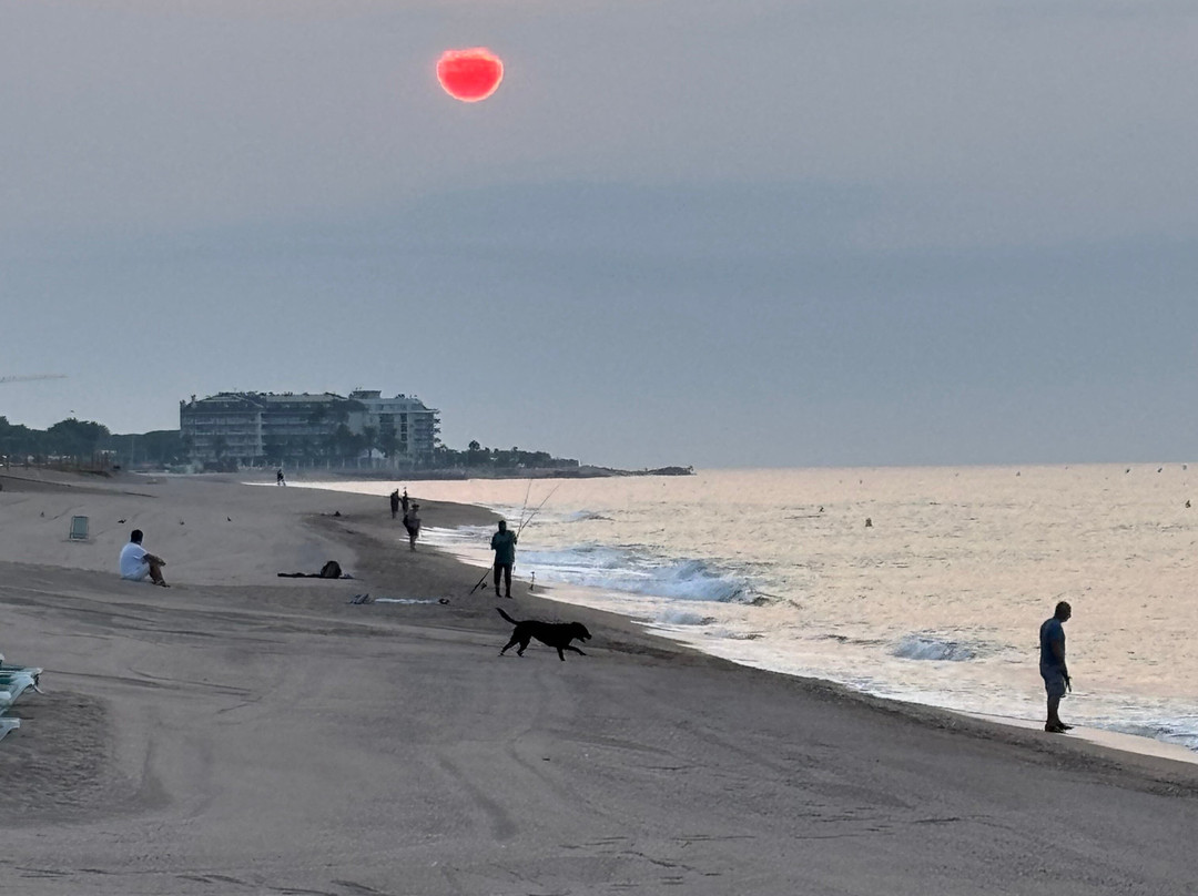 Pinada Beach-Pineda de Mar必去景点