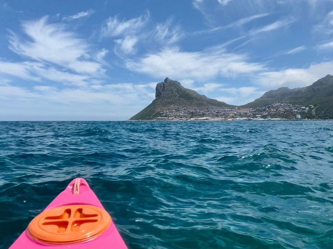 Paddle Experience: Kayak in Cape Town-西门镇必去景点