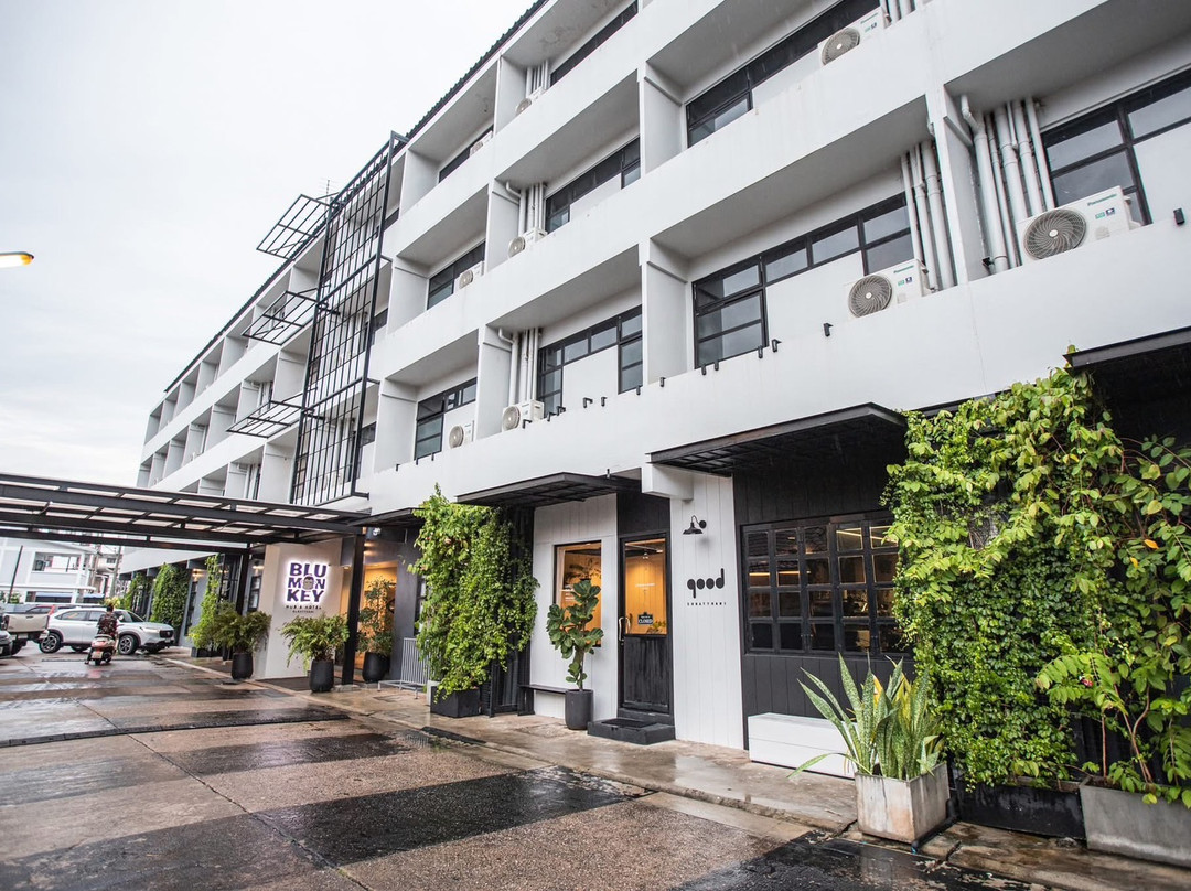 素叻他尼酒店住宿-Blu Monkey Hub & Hotel Suratthani