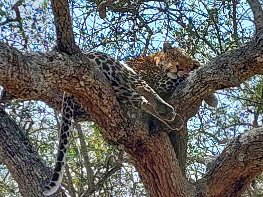 Sereland Africa Safaris-Sakina必去景点