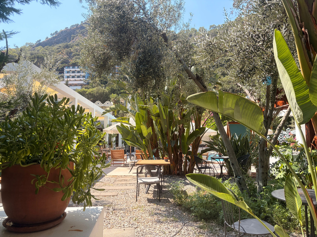 Ölüdeniz Blu Luxury Unique Hotel - Adults-Only主图