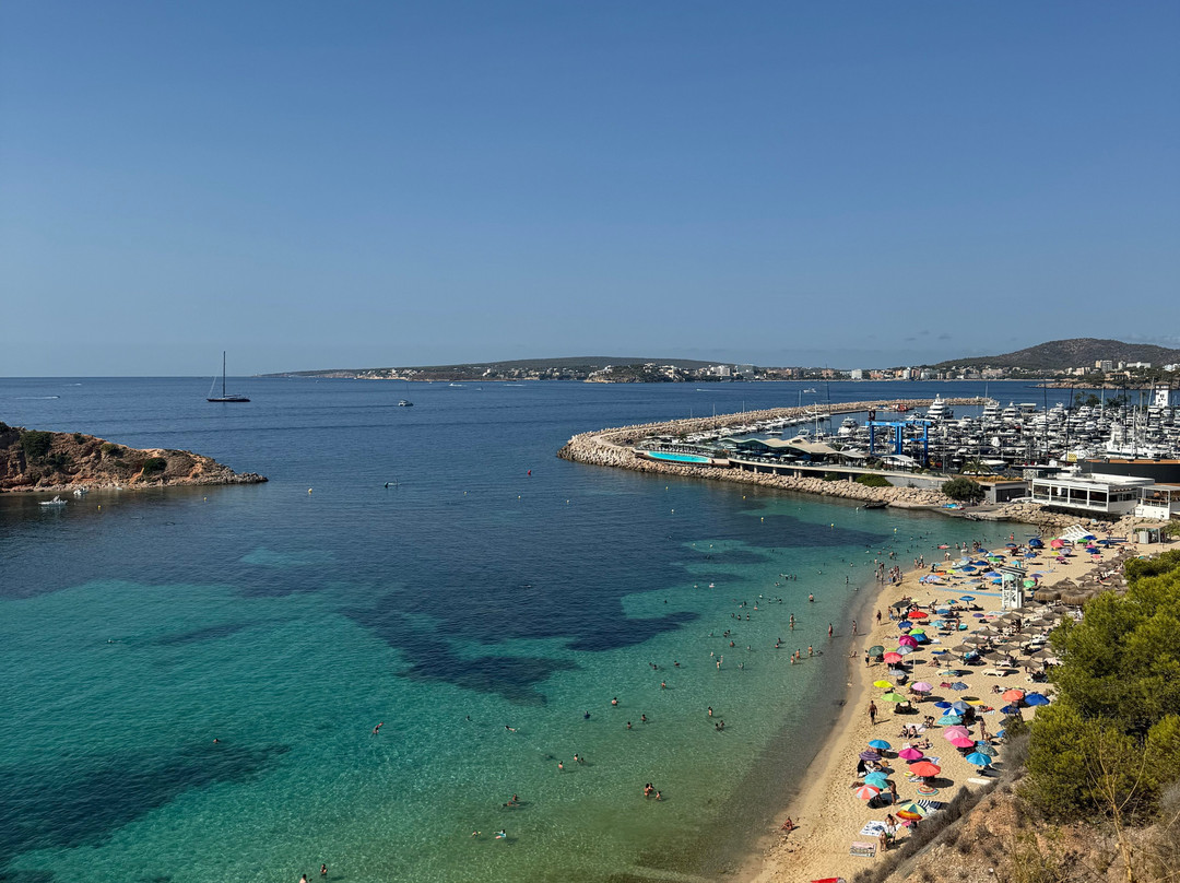 Platja De s'Oratori-波特努斯必去景点