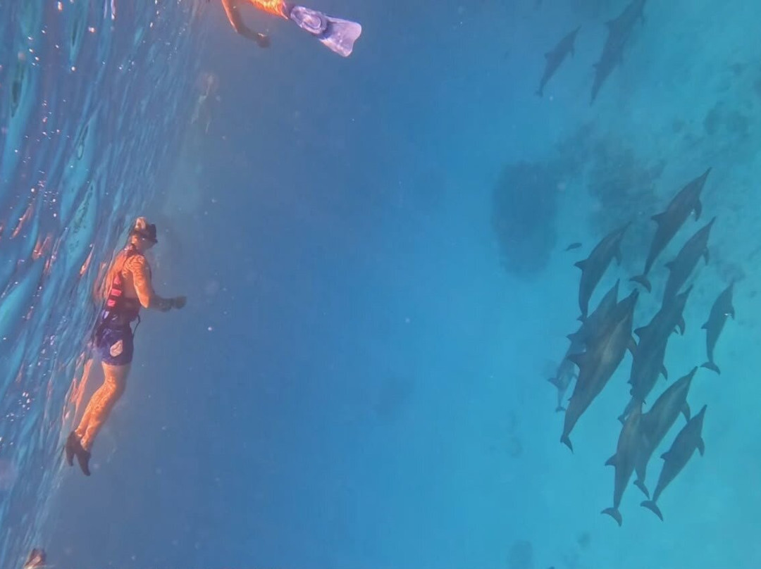Marsa Alam Tours-马萨阿拉姆必去景点