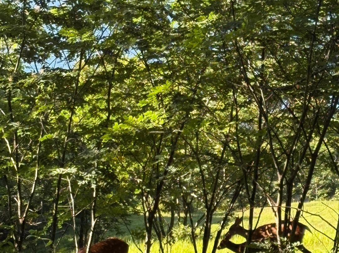 Lake Akan Nature Trail-钏路市必去景点