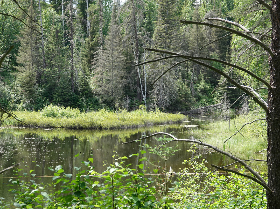 Kettle Lakes Provincial Park-Timmins必去景点