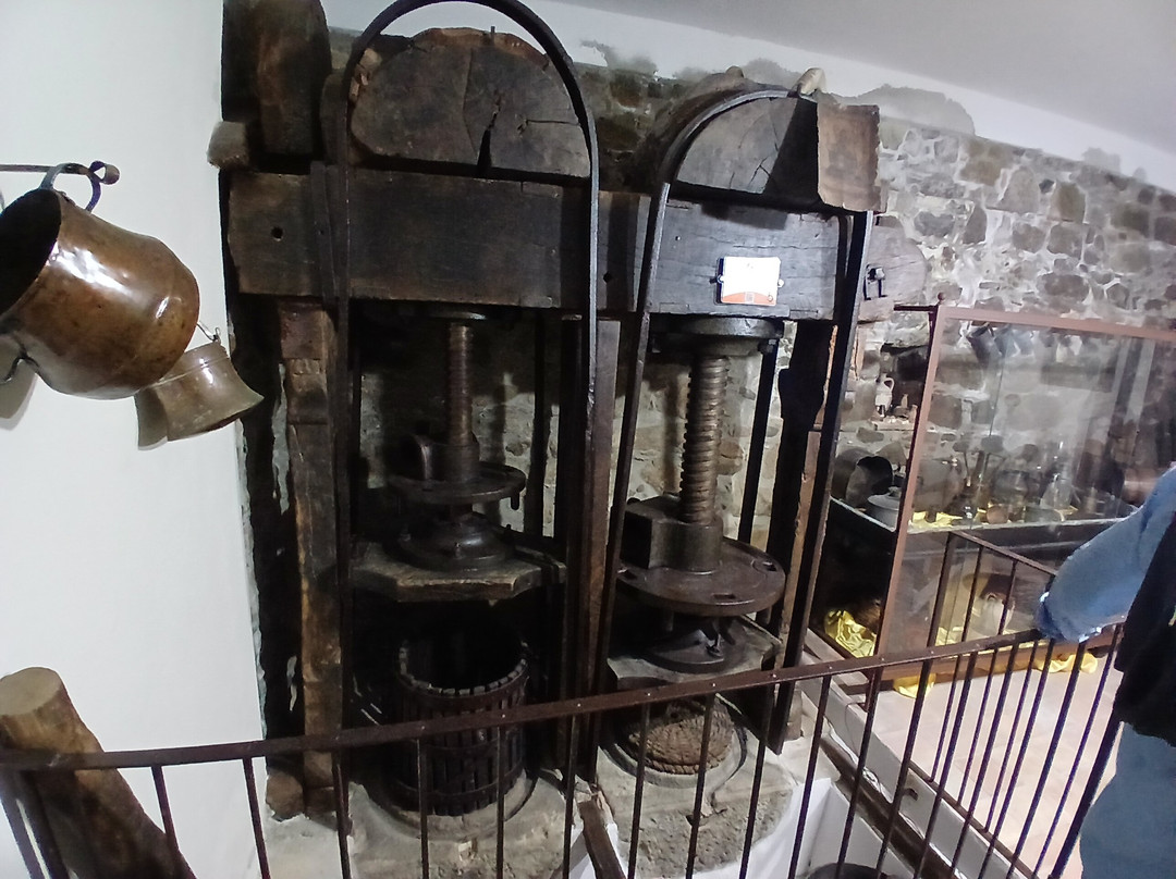 Amoreolio Museo dell'olio di Colobraro-Colobraro必去景点
