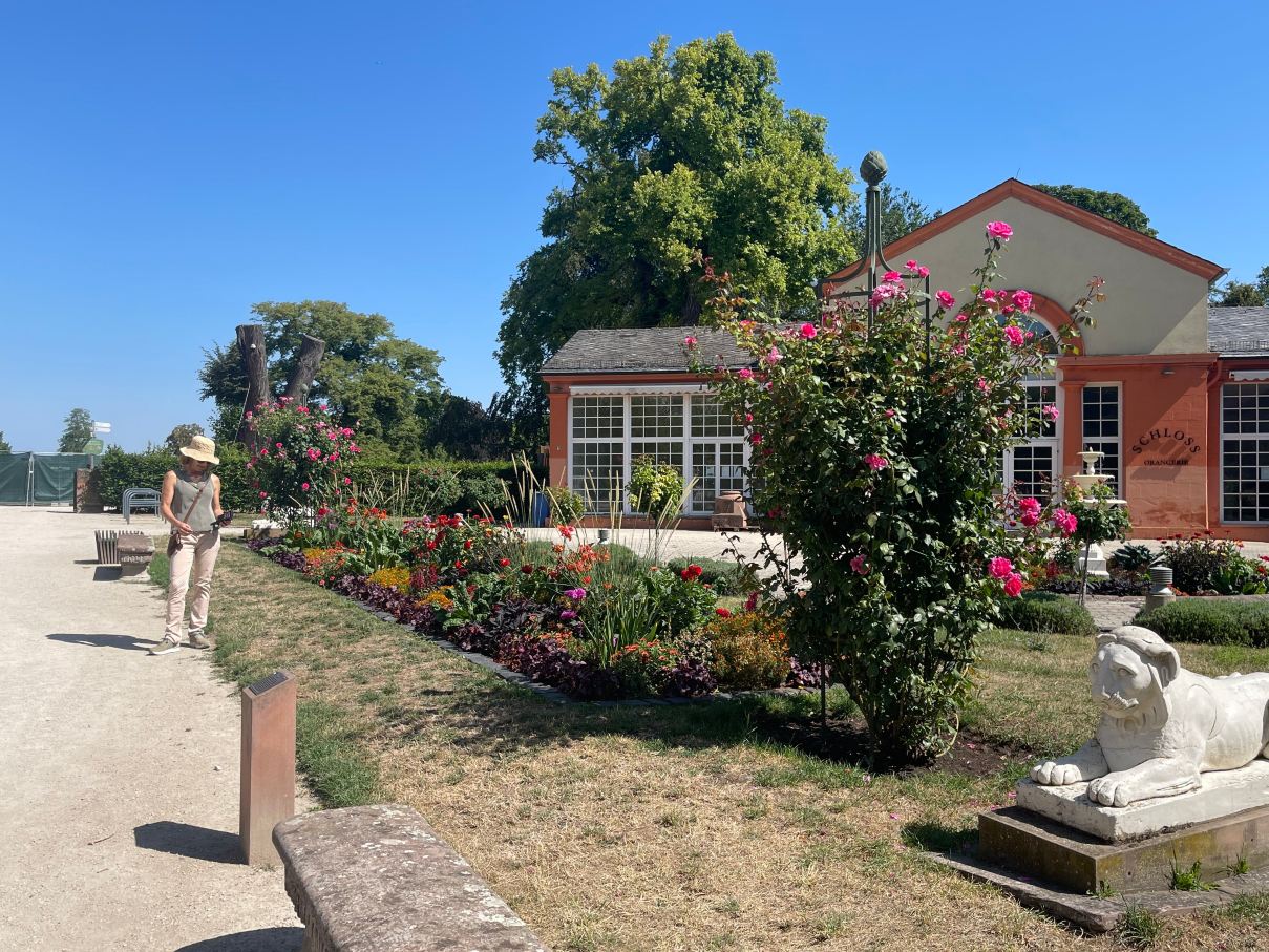 Weingut und Gästehaus Volker Schmitt-旅行者