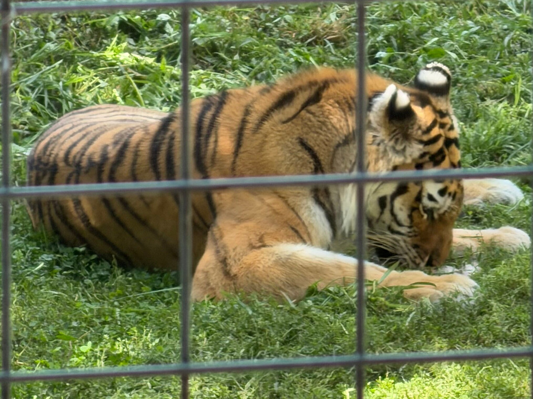 Peoria Zoo-皮奥里亚必去景点