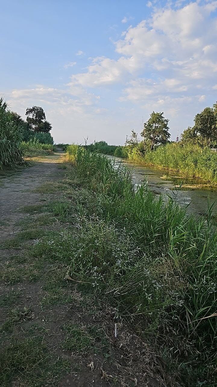 莱拉歌伊瑟克酒店 - 限成人-旅行者