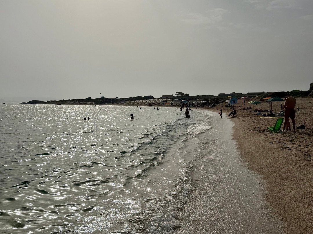 Spiaggia La Licciola-圣特雷莎加卢拉必去景点