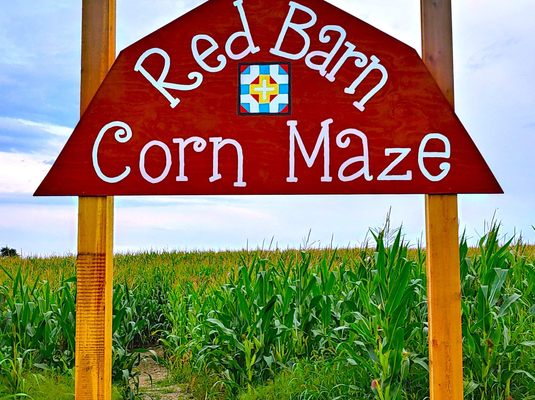 Red Barn Corn Maze