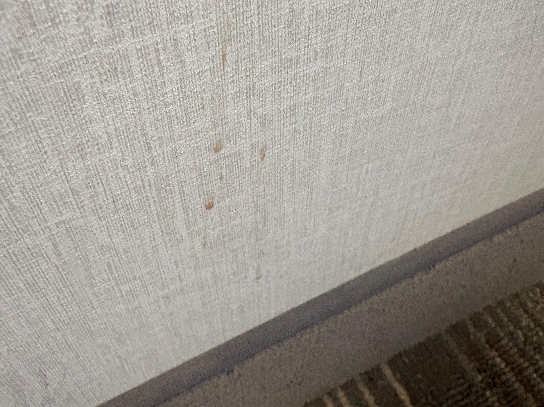 伊萨卡智选假日酒店主图
