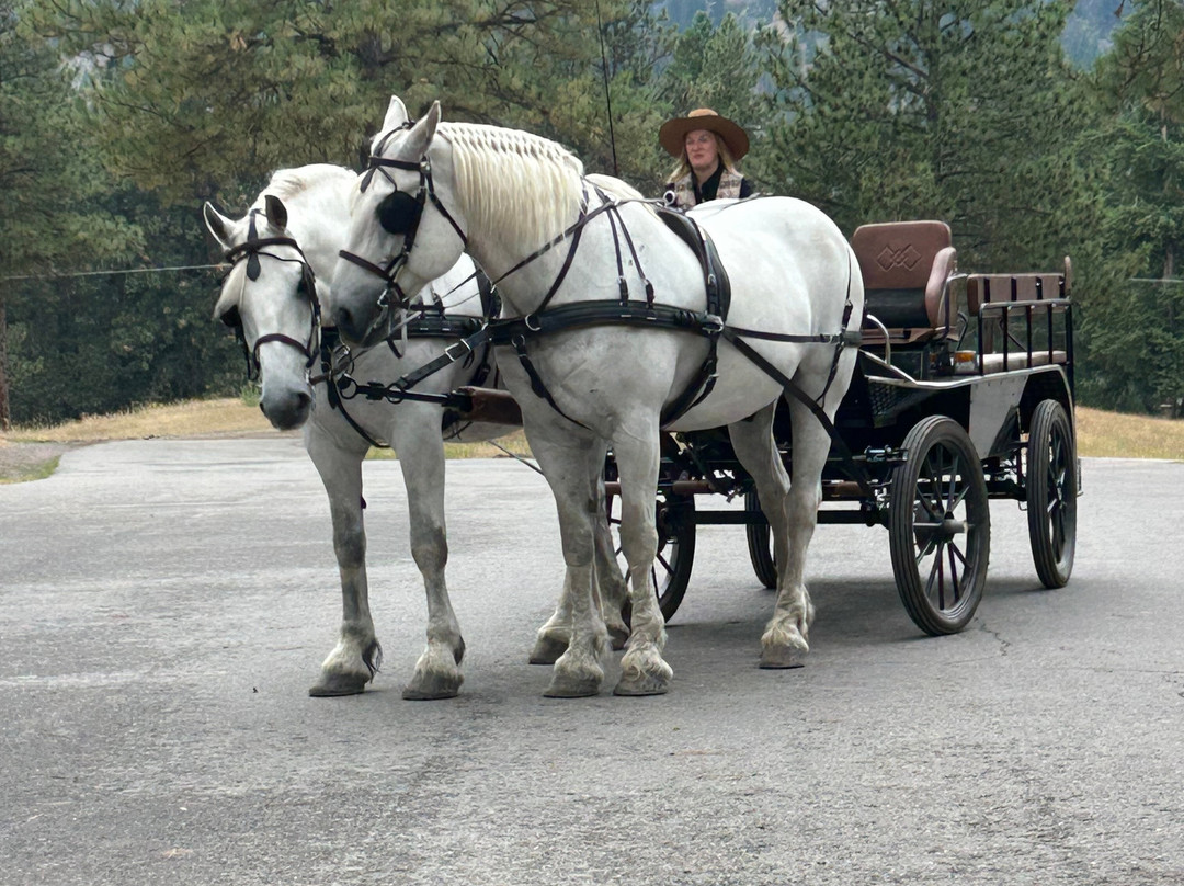 Riverview Ranch Retreat & Western Adventures主图