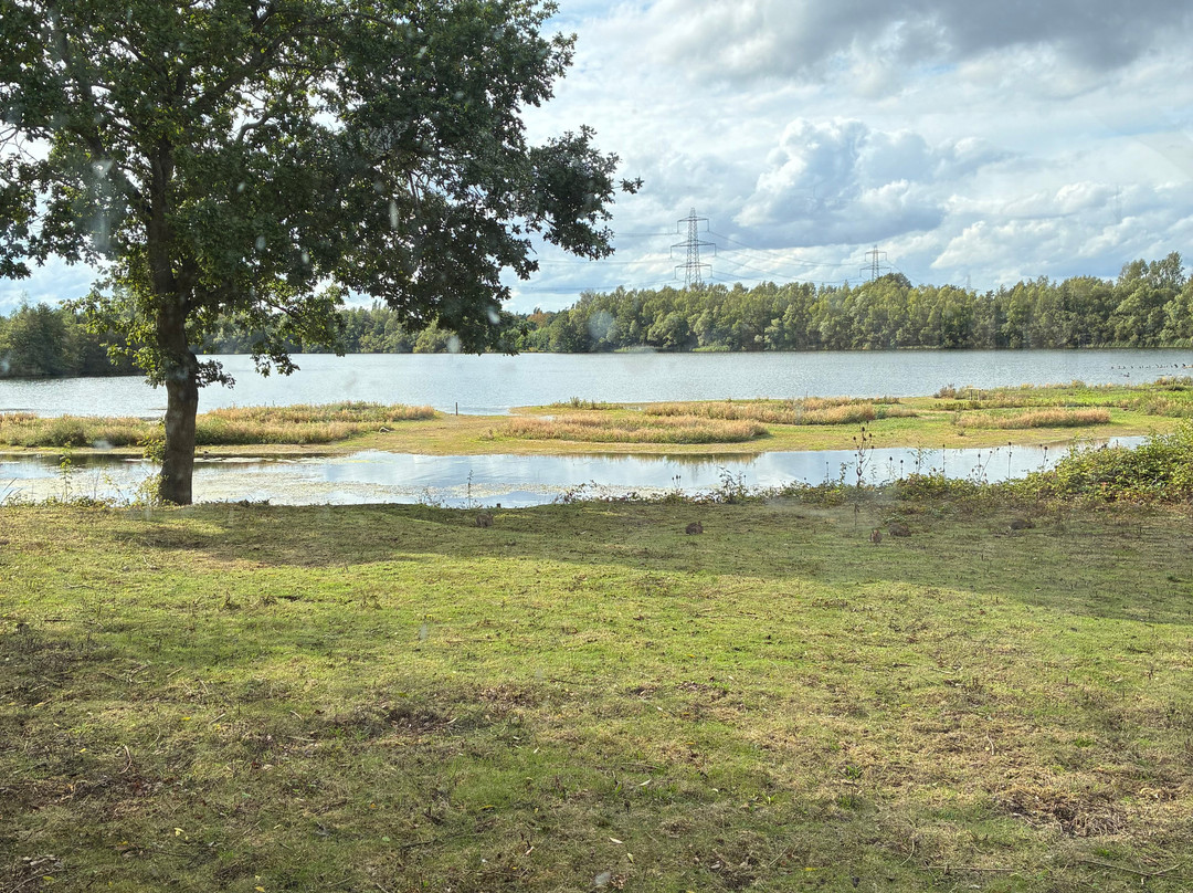 The Natural World Centre, Whisby-林肯必去景点