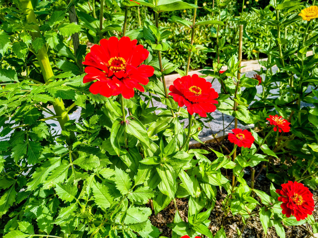 Eleanor Roosevelt National Historic Site-海德公园必去景点