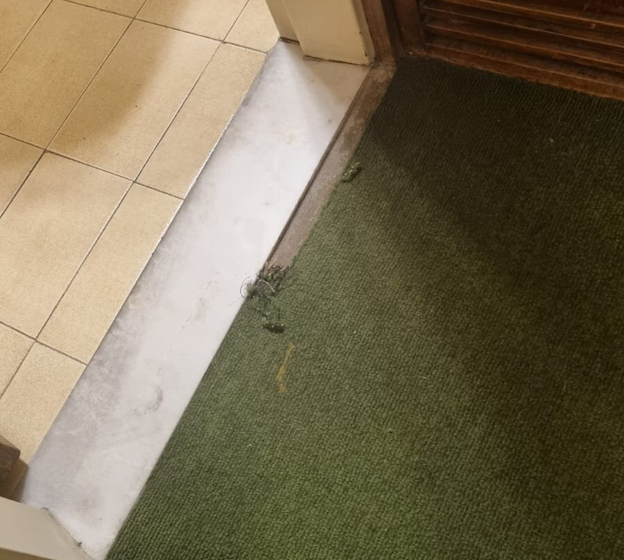 花园酒店主图