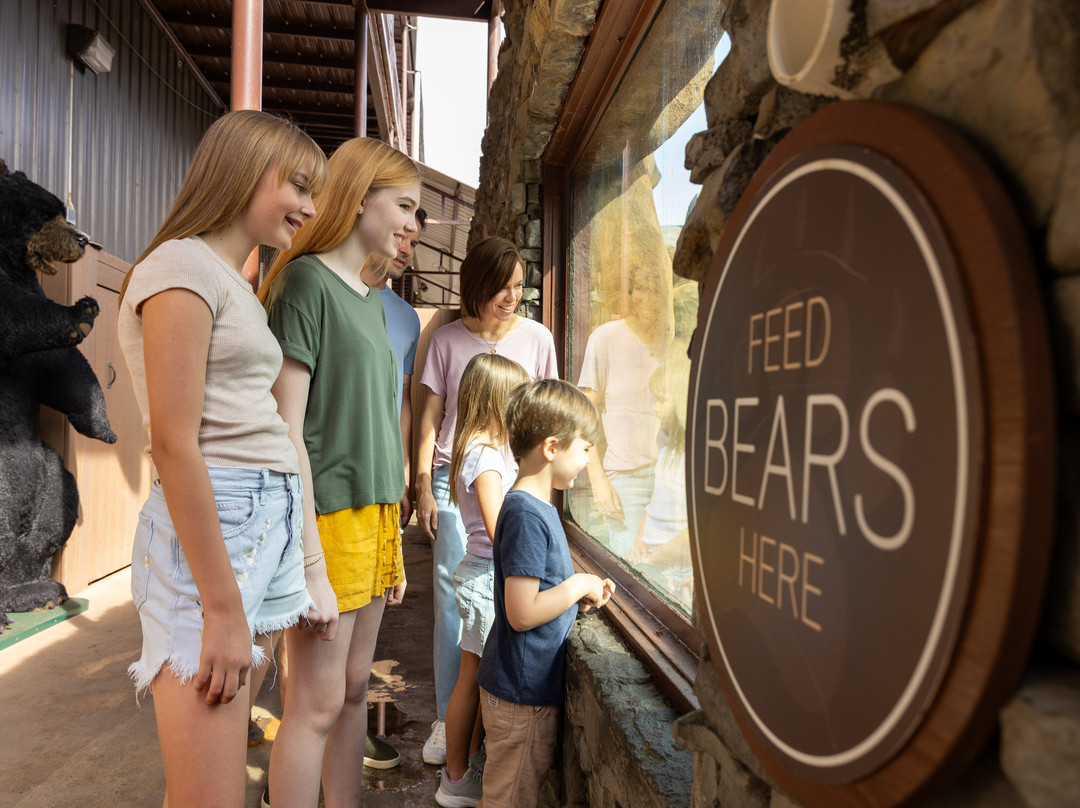 Three Bears General Store-皮金福奇必去景点