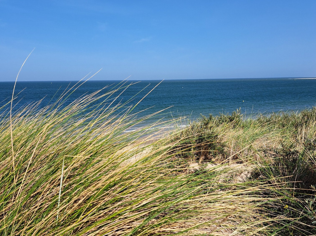 Cap d’Agde Naturist Village-Cap-d'Agde必去景点