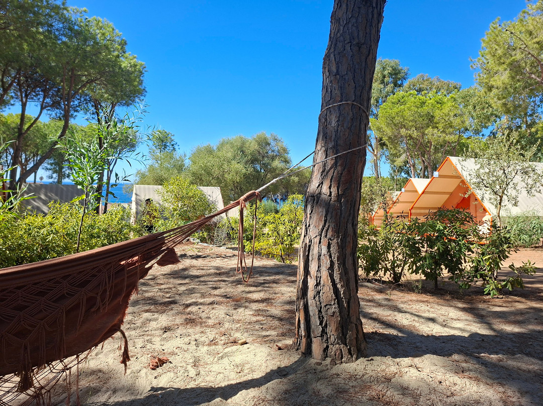 LAVITA Camp