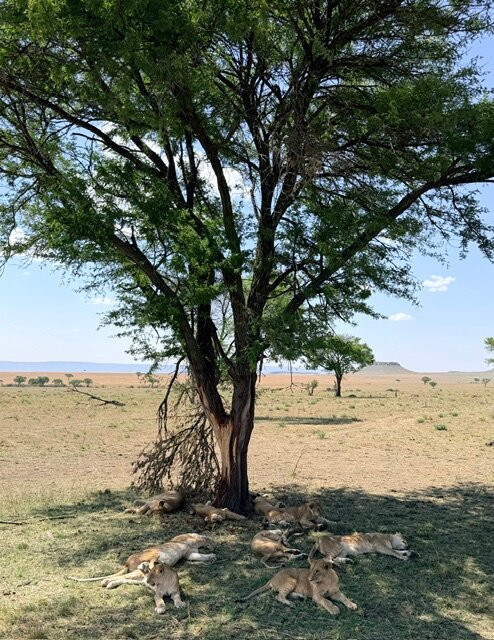 Tanzania Roadside Expeditions-阿鲁沙必去景点