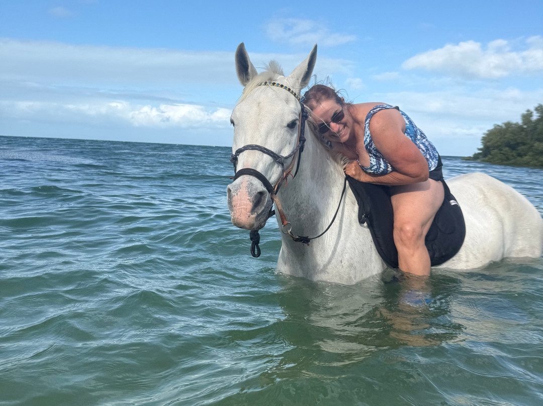 Mozambique Horse Safari-Vilanculos必去景点