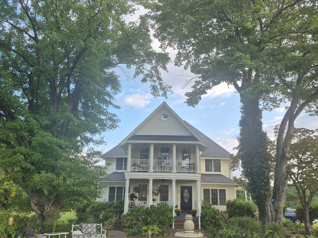 Ma Margarets House Bed and Breakfast主图