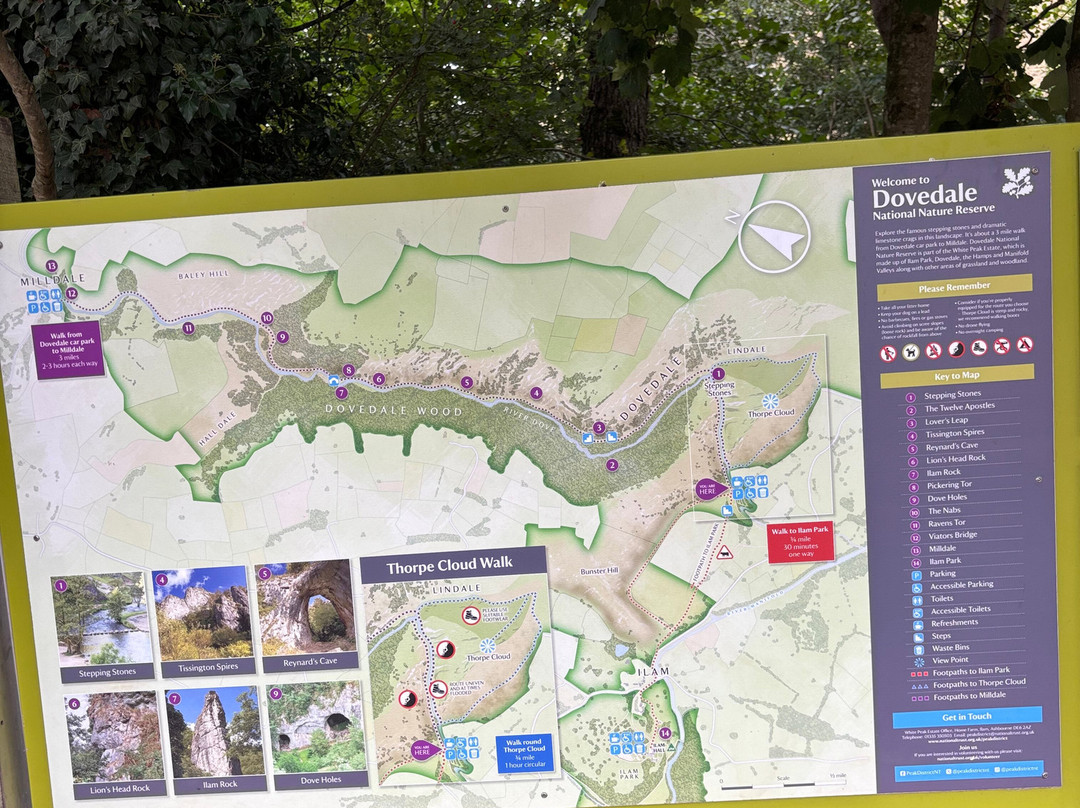 Dovedale-阿什伯恩必去景点