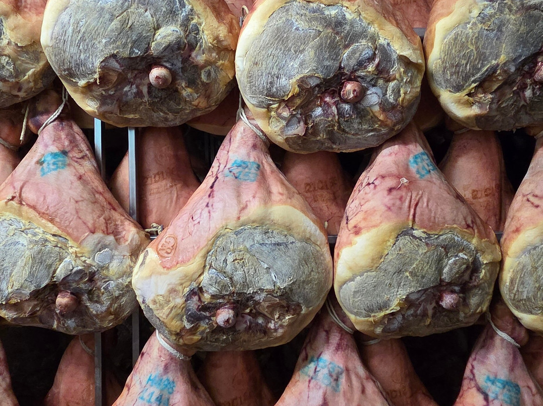 Salumificio Conti-Langhirano必去景点