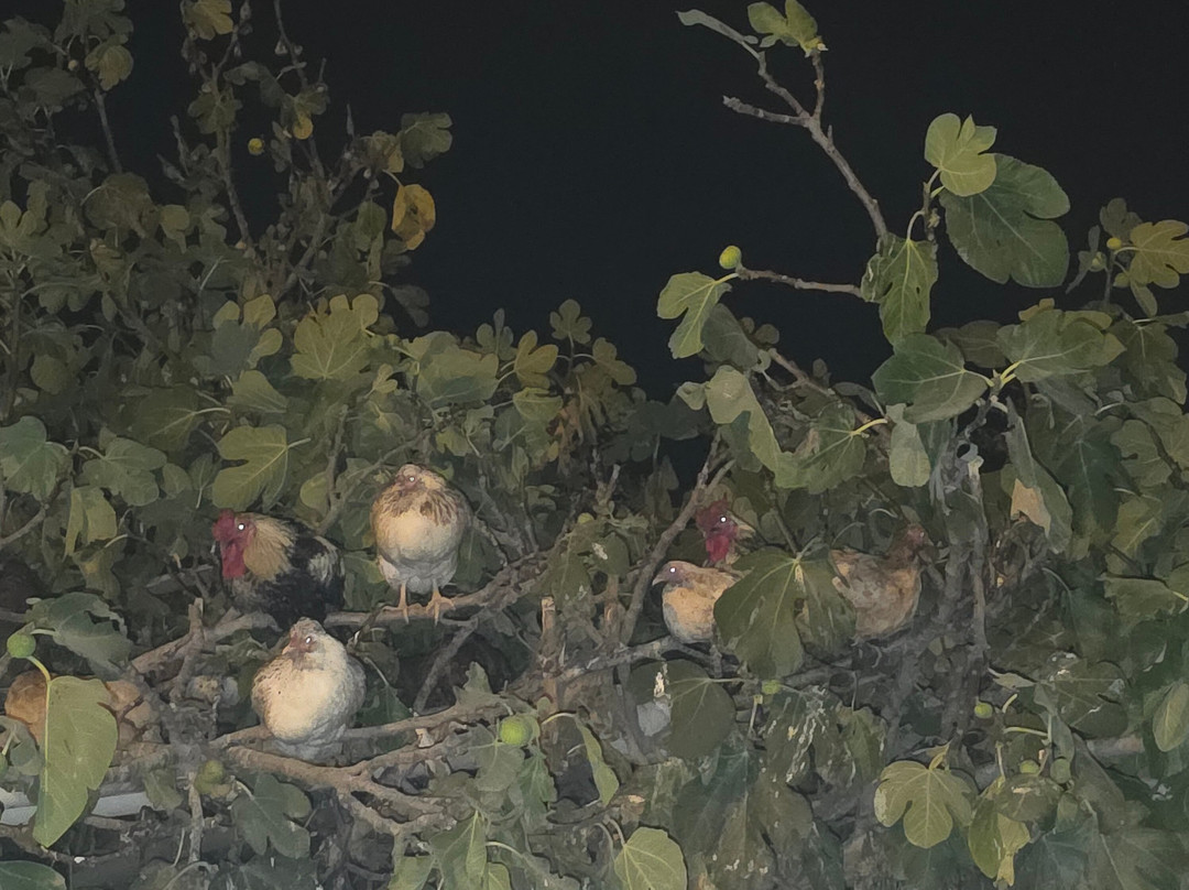 Boğazkent Halk Plajı.