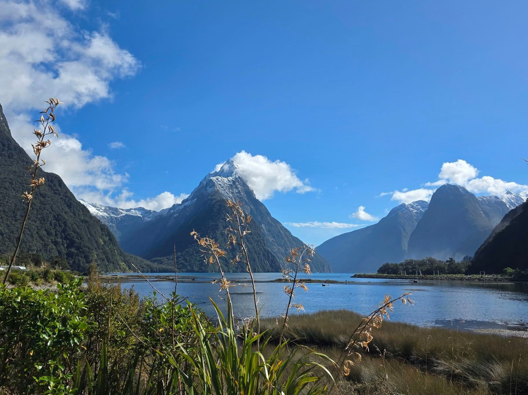 Aroha Luxury New Zealand Tours-Tokoroa必去景点