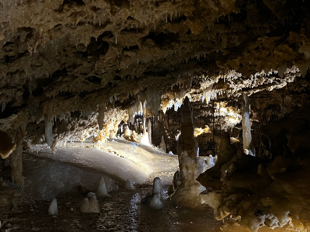 Grotte du Grand Roc-Les Eyzies-de-Tayac-Sireuil必去景点