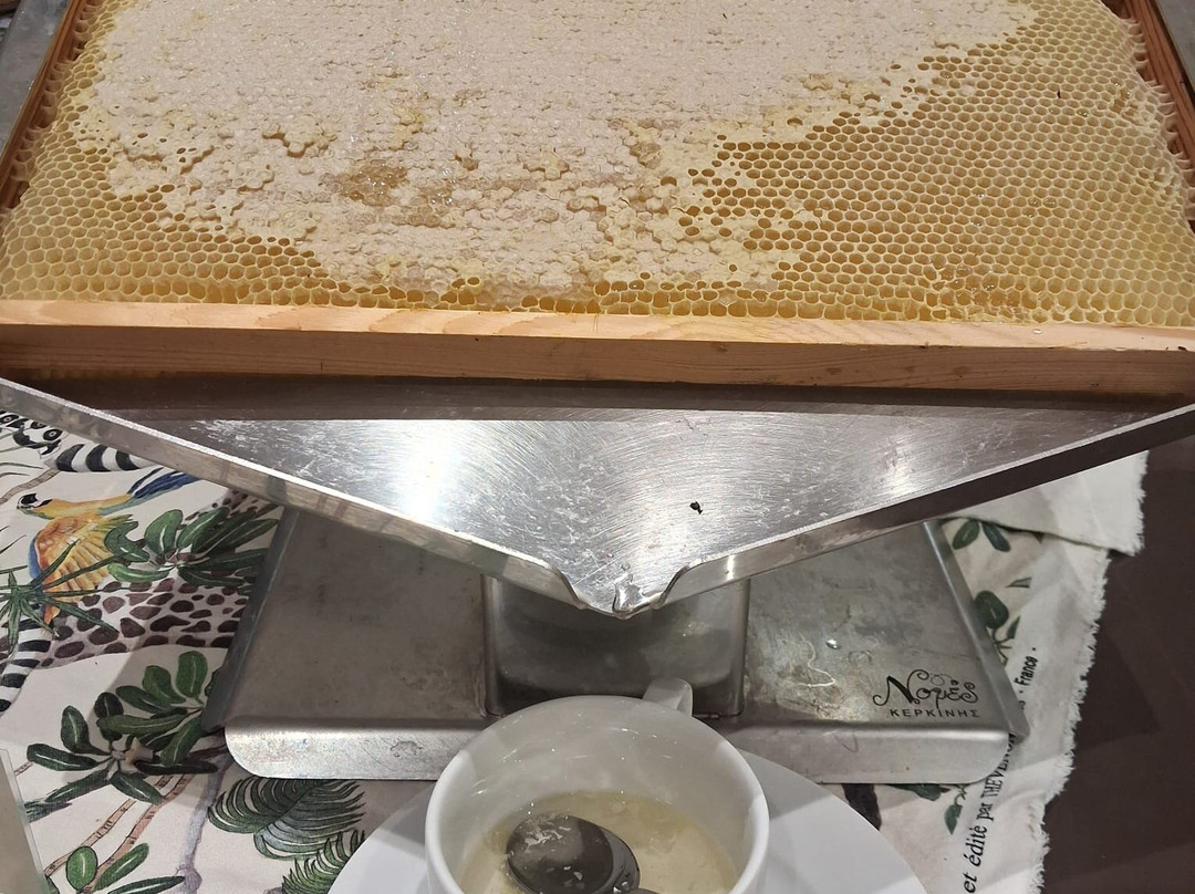 埃列昂格兰德水疗度假酒店主图